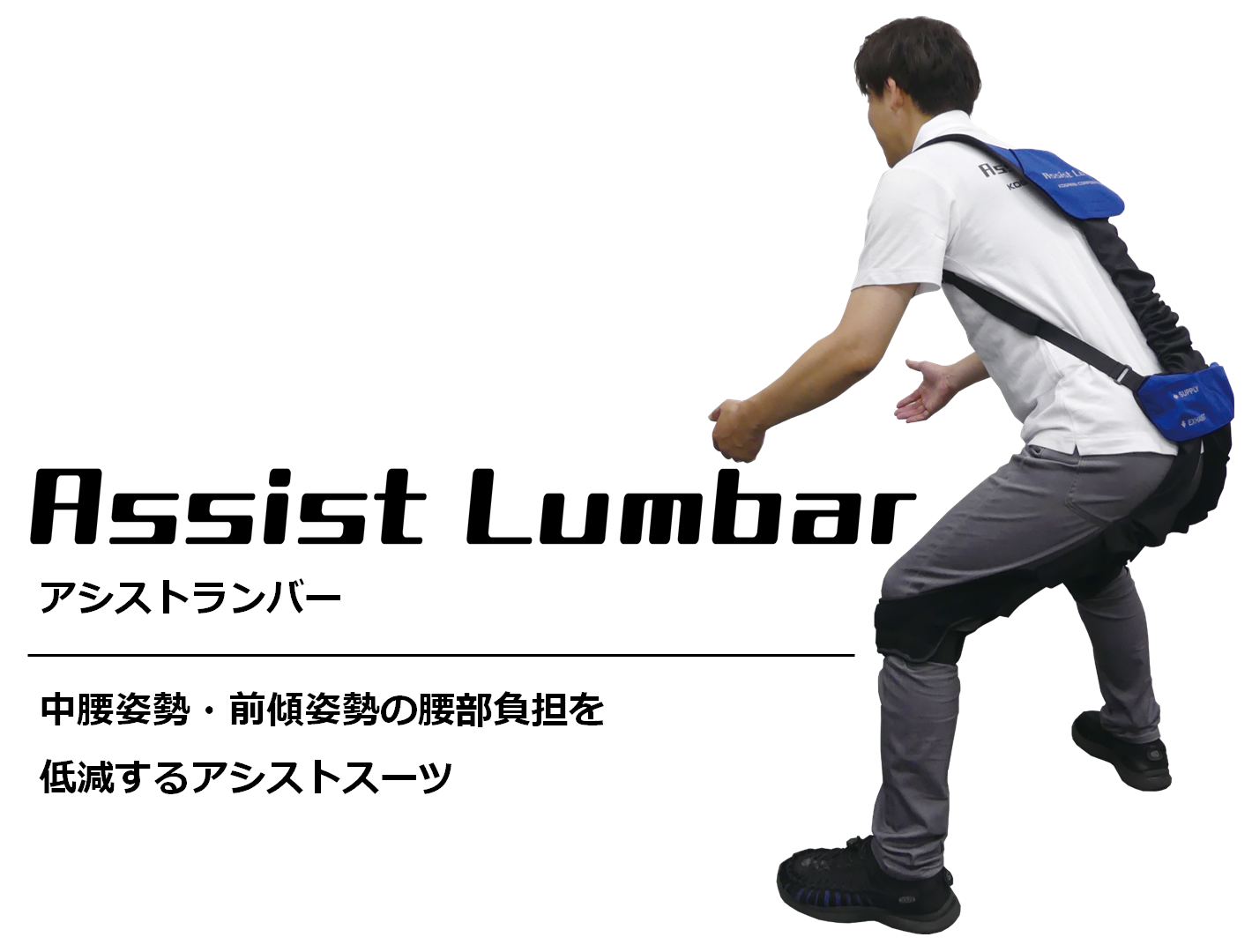 Assist Lumbar(アシストランバー)