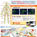 独居高齢者の見守り･転倒検知システム